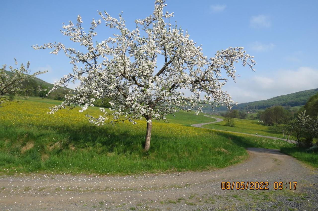 Kaltennordheim Ferienwohnung Rhoen מראה חיצוני תמונה